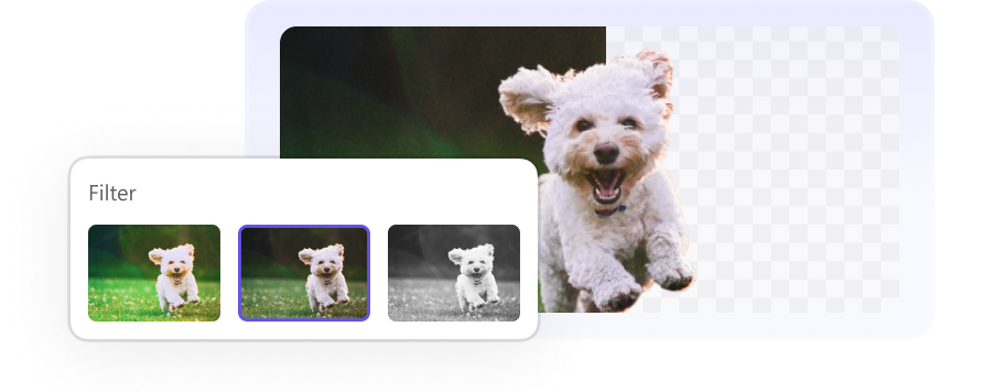 spot_img